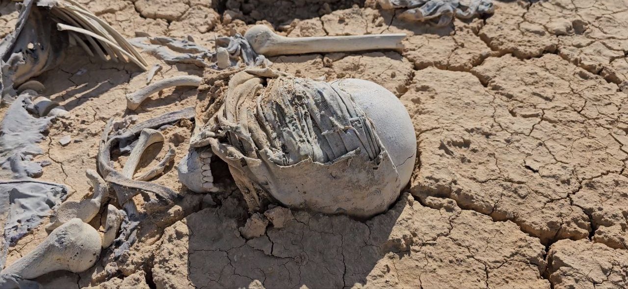 قتلوا بدم بارد